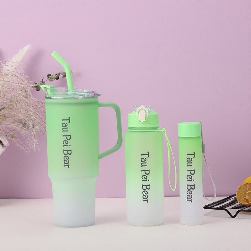 3-Pack Tumbler Bottles with Lids and Straws